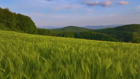 Rural farmland view of Naugaon Rajasthan showing countryside landscape near Delhi