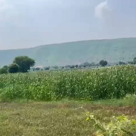 2024-09-02-14_05_11-Window