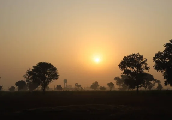 Central Park Naugaon premium farmhouse project with green surroundings