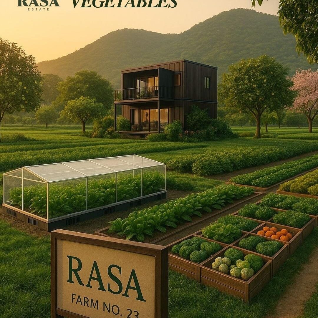 rasa-eatate-farms-naugaon-images rasa-eatate-farms-naugaon-images